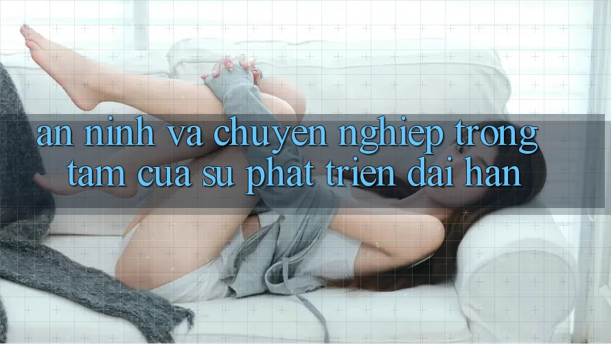 An ninh Và Chuyên nghiệp: Trọng Tâm Của Sự Phát Triển Dài hạn An ninh Và Chuyên nghiệp: Trọng Tâm Của Sự Phát Triển Dài hạn