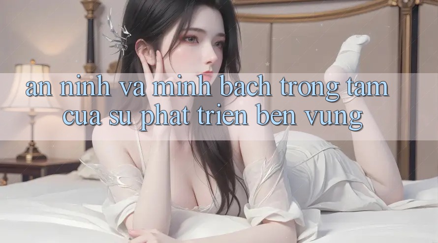 An ninh Và Minh Bạch: Trọng Tâm Của Sự Phát Triển Bền Vững