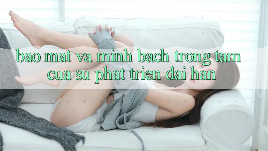 Bảo Mật Và Minh Bạch: Trọng Tâm Của Sự Phát Triển Dài hạn Bảo Mật Và Minh Bạch: Trọng Tâm Của Sự Phát Triển Dài hạn