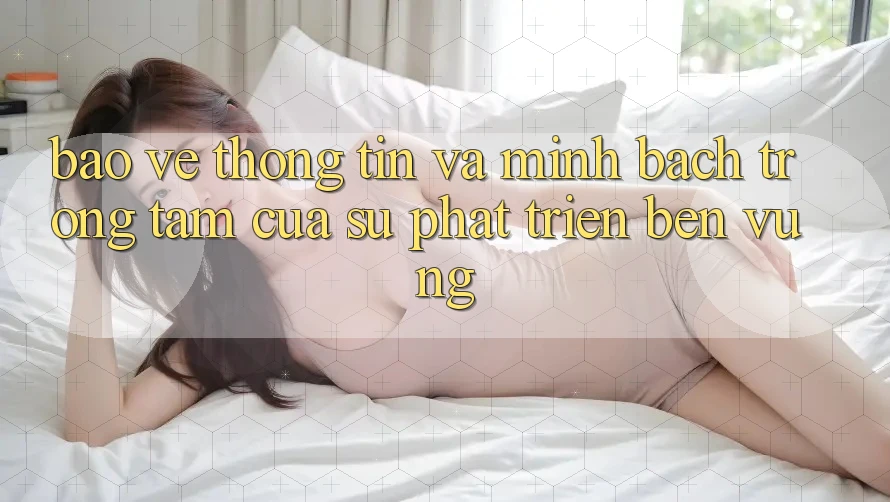 Bảo vệ thông tin Và Minh Bạch: Trọng Tâm Của Sự Phát Triển Bền Vững