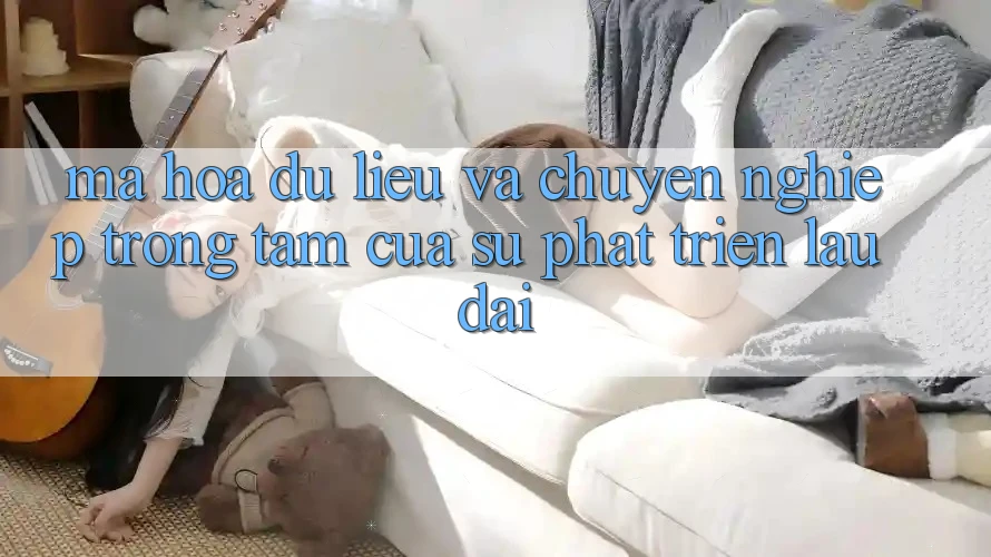 Mã hóa dữ liệu Và Chuyên nghiệp: Trọng Tâm Của Sự Phát Triển Lâu dài Mã hóa dữ liệu Và Chuyên nghiệp: Trọng Tâm Của Sự Phát Triển Lâu dài