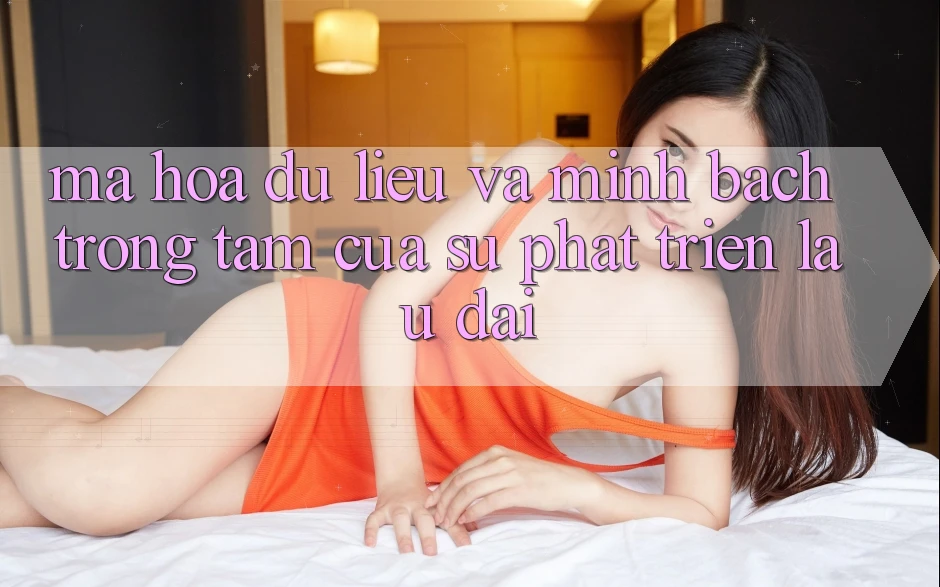 Mã hóa dữ liệu Và Minh Bạch: Trọng Tâm Của Sự Phát Triển Lâu dài