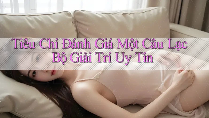 Tiêu Chí Đánh Giá Một Câu Lạc Bộ Giải Trí Uy Tín Tiêu Chí Đánh Giá Một Câu Lạc Bộ Giải Trí Uy Tín